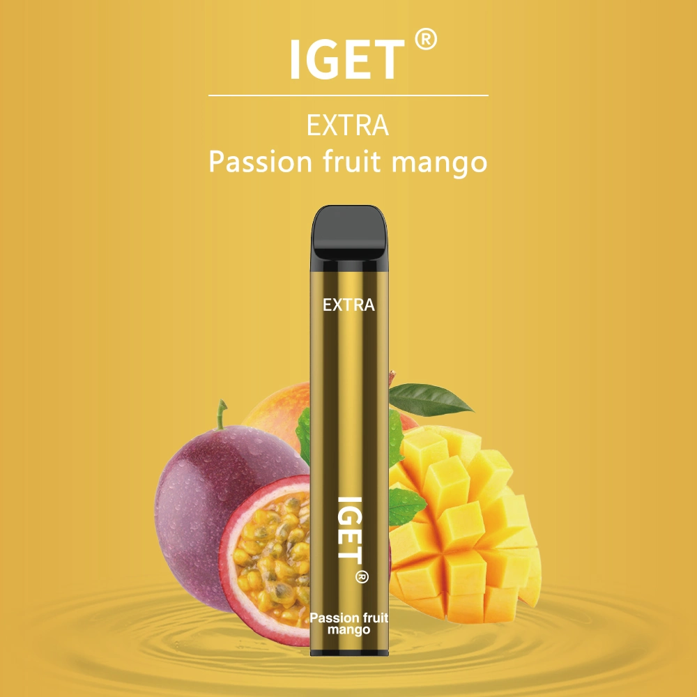 Iget Extra Wholesale/Supplier Disposable/Chargeable Electronic Cigarette E Cigarette Iget Vape