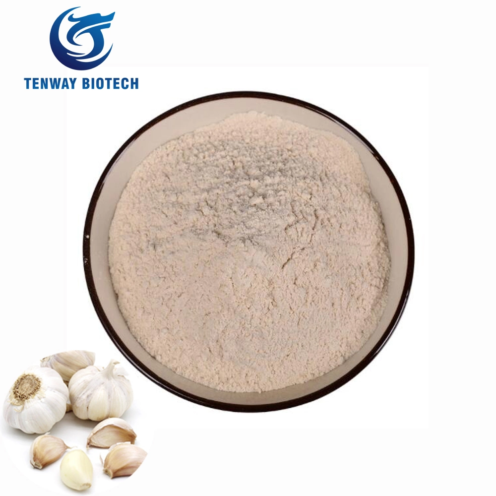 Top Grade Non-GMO Food Ingredient Seasoning Ingredient Natural Sauced Garlic Powder From China Manufacturer