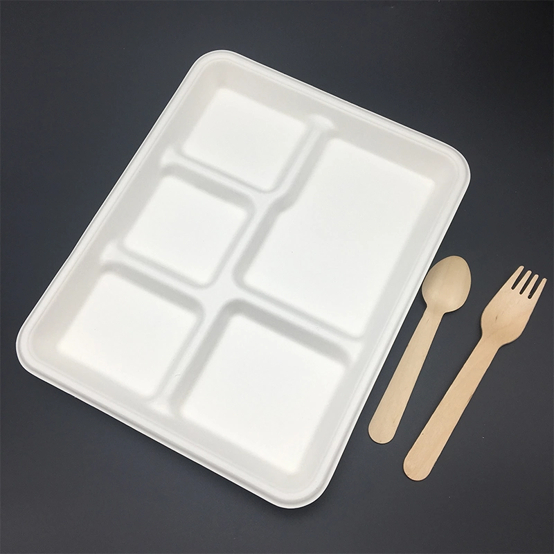 Compostable Bagasse 5cp School Tray for Food Packaging