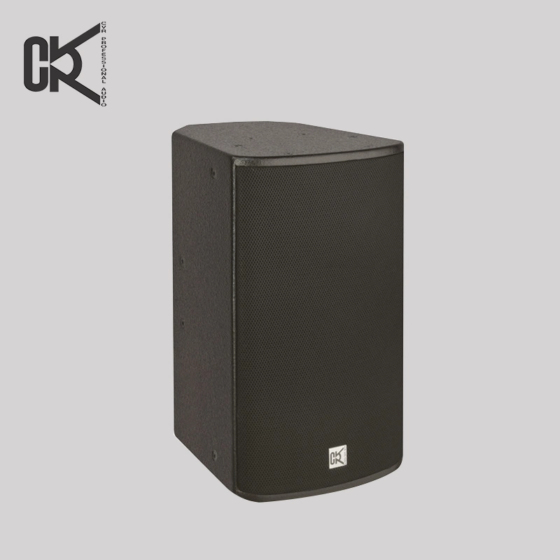 Professional Audio Loudspeakers 10 Inch Full Range Speaker