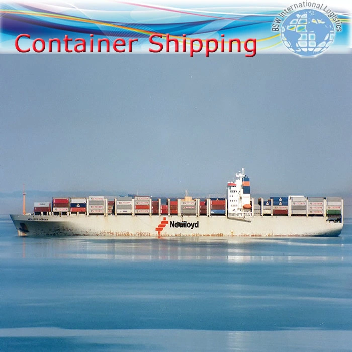 Professional Sea Fright Shipping Service From China to Columbia