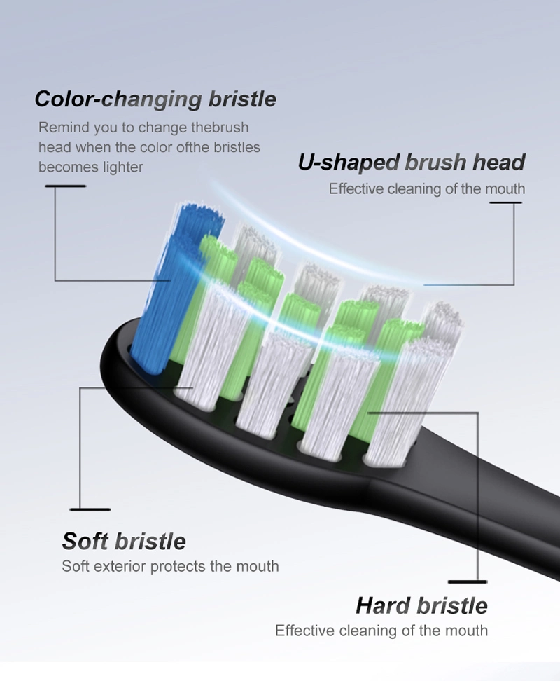 Brosse à dents électrique sonique orale rechargeable OEM pour adulte