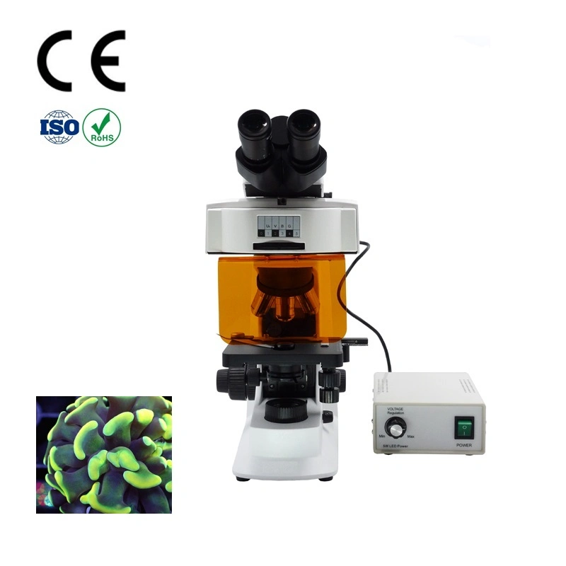 Buy Cheap Fluorescence Microscope in Original Factory