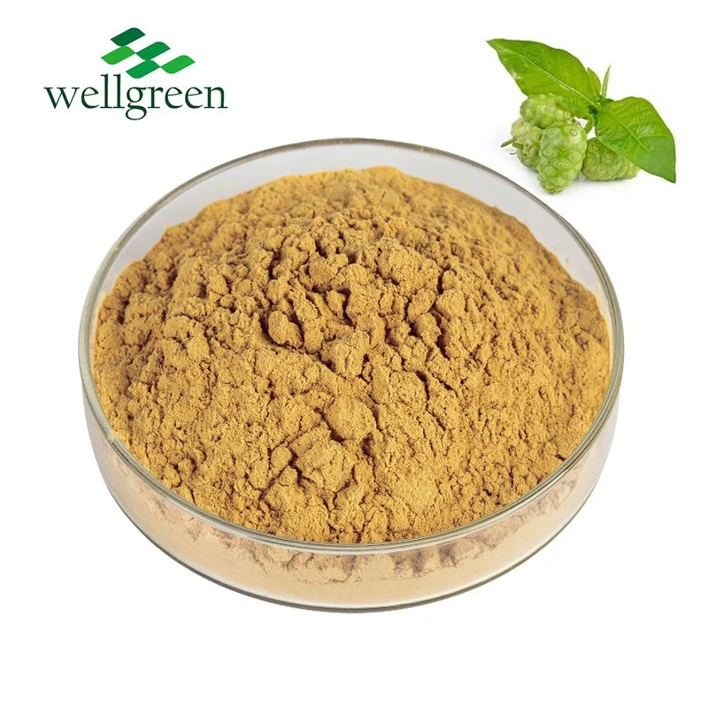 100% Pure Natural Fruit Powder Noni Fruit Extract Powder Spray Dried Noni Fruit Powder