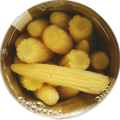 Canned Whole Baby Corn with Cheap Price