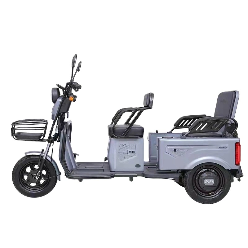 Electric Kick Scooter for Elderly EEC Coc Wheelchair 3 Wheels Electric Bikes