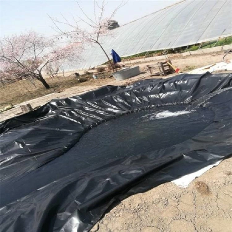 Plastic Pond Liner UV Resistant PVC Geomembrane 0.5mm HDPE Liner Sheet for Fish Sell