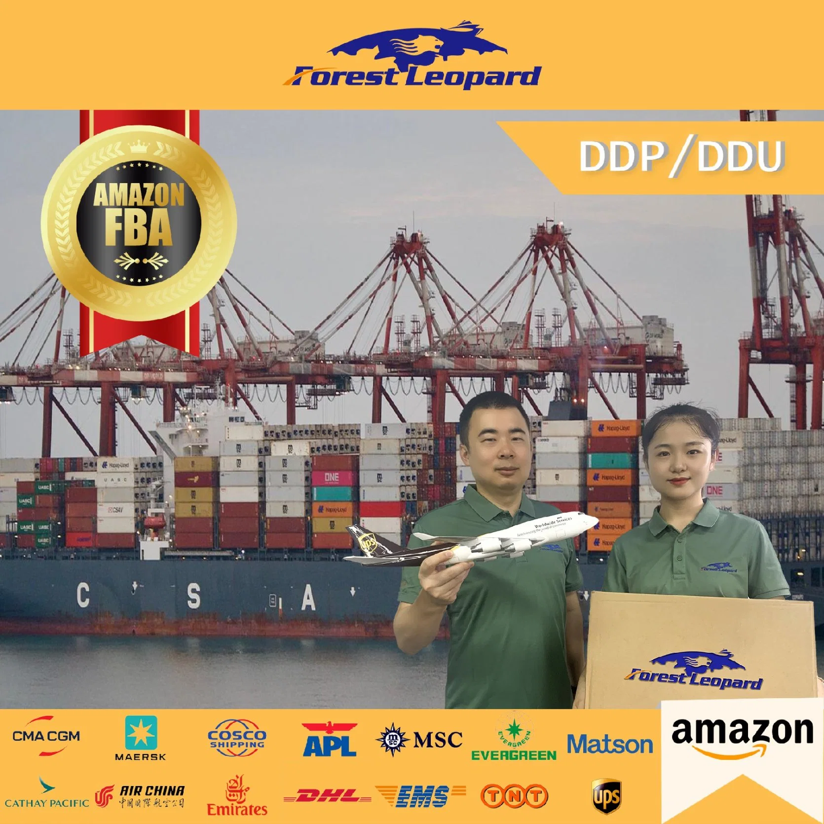 Freight Forwarders to Australia by Sea/Air Shipping From China DDP/DDU Door to Door Service