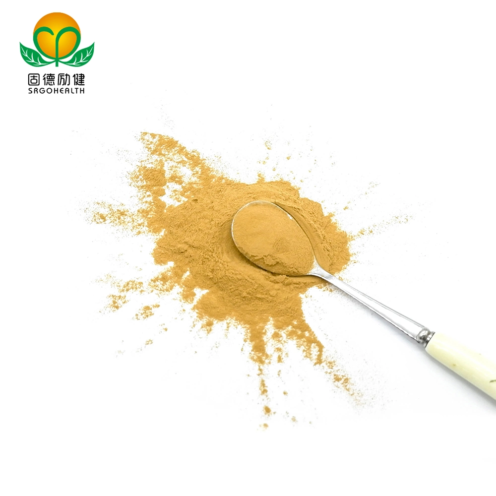 OEM GMP Amazon Hot Selling Lower Price Hericium Erinaceus Extract Powder