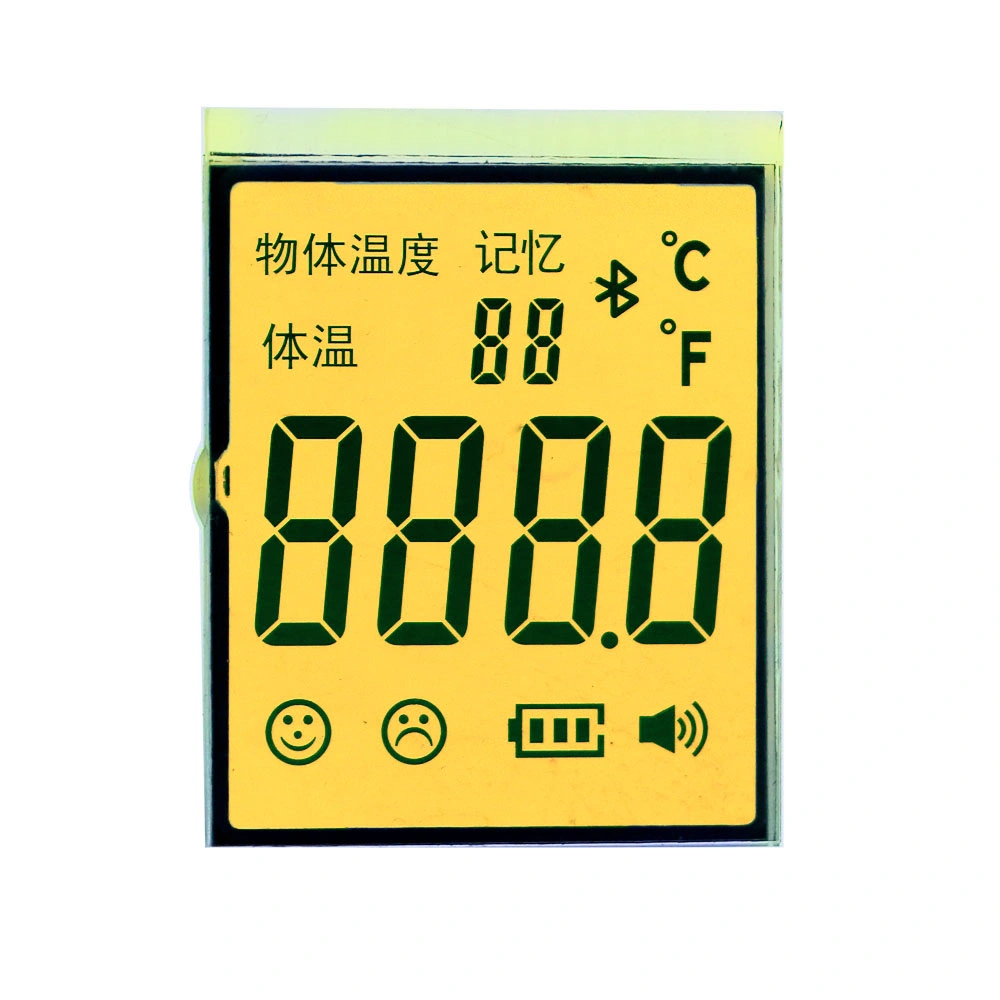 Various of Standard Product Stn Monochrome Temperature Meter LCD Display