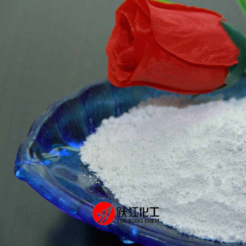 Titanium Dioxide Rutile Grade R909 Pigments and Paints