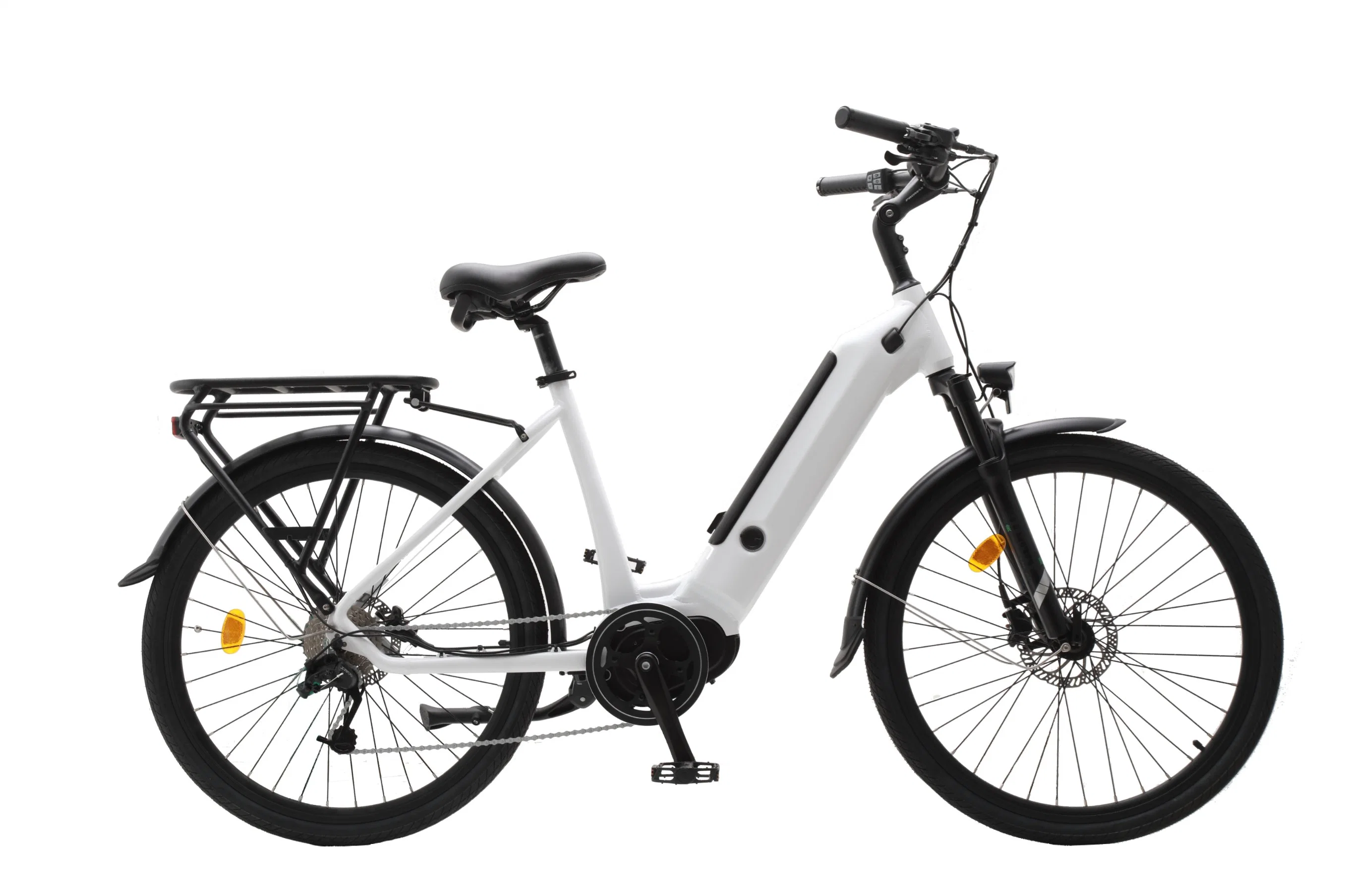 Ep 01f Middle Drive Electric Bike for Sale