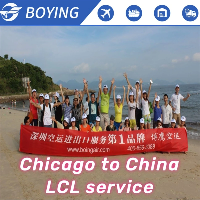 Best Import Forwarders From Chicago to China DDU/DDP Services Air Sea Shipping