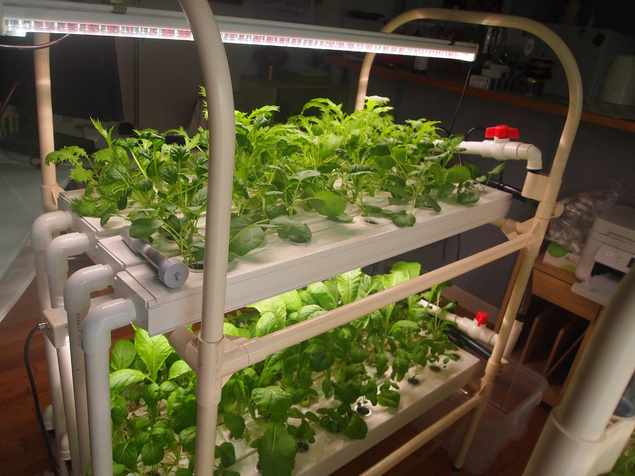 Nft Channel Hydroponics System for Vegetable Indoor Growing Vertical System