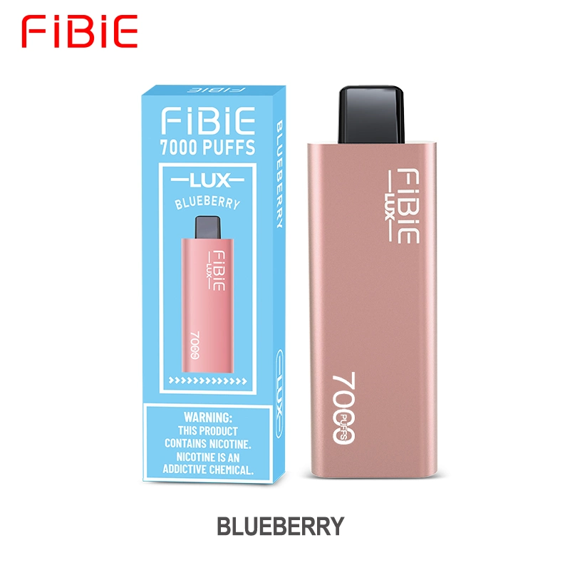 Wholesale/Supplier Curve Slick Fibie Lux E Cig 7000 Puff Vaper Mini Electronic Cigarette Rechargeable Germany Best Price Wape Eshisha Randm Disposable/Chargeable Vapes E Cig