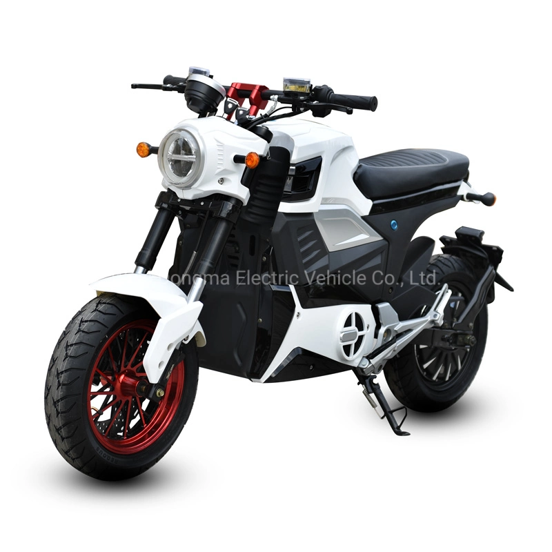 Dongma M6 EEC High Speed 2 Wheel 5000W 72V Bike MID Motor Dirt Bike Electric Motorcycle Scooter