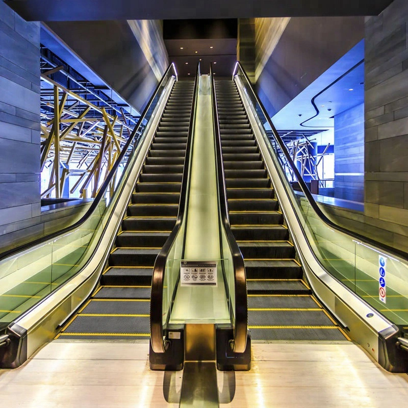 Electric Escalator prix que les fabricants