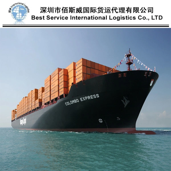 Ocean Freight Forwarder Sea Logistics Shipping From China to Chad, Central Africa DDU/DAP/DDP