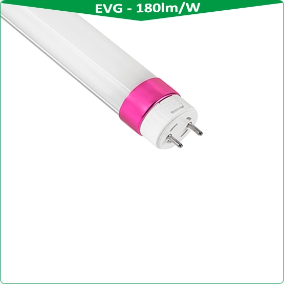 Lampe à tube LED T8 avec capteur micro-ondes compatible KVG, tube circulaire à LED, lampes fluorescentes