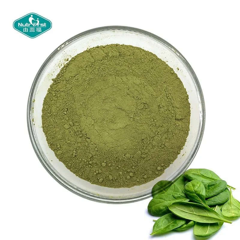 Extrato vegetal fábrica profissional orgânico Pure Instant Spray Spinach seco Pó glúten Free Keto