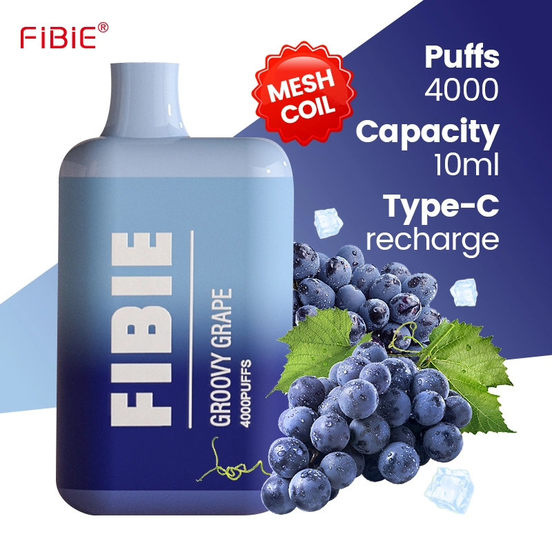 Wholesale/Supplier Electronic Cigarette Fibie 4000 Puff Vaper Mini Rechargeable Lost E Cig Mary Germany Best Price Wape Shisha Randm Disposable/Chargeable Pen Vape