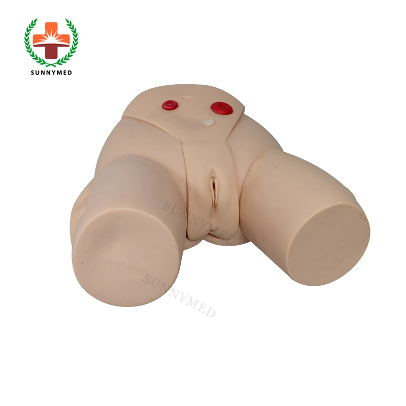 Sy-N045 Medical Nursing Care Female Catheterization Model for University