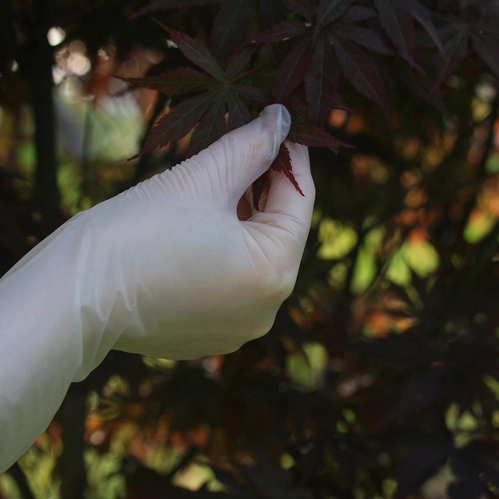 Guantes desechables de vinilo de PVC Jardín seguridad