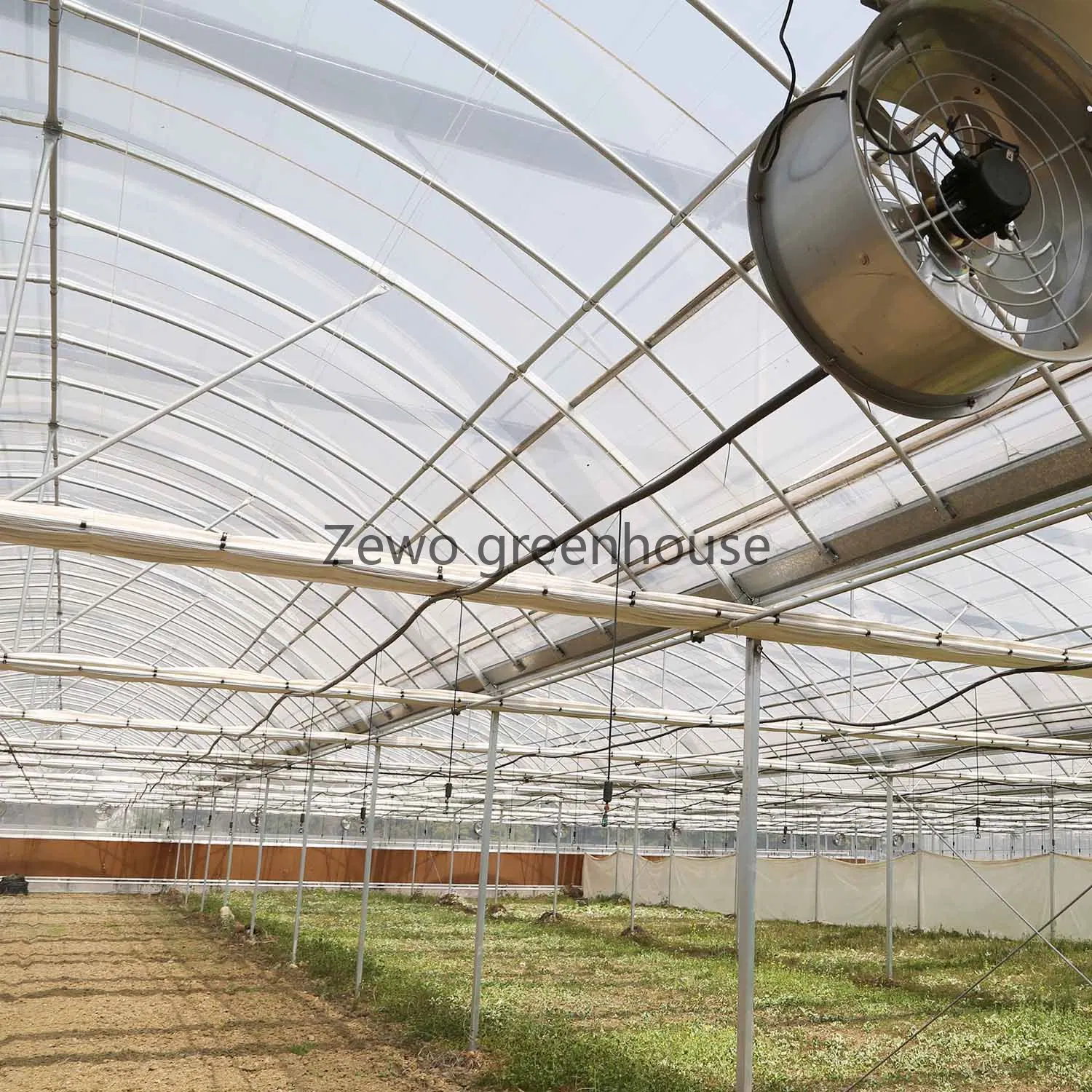 Span Plastic Film Greenhouse with Hydroponics System for Cucumber/Commercial Use