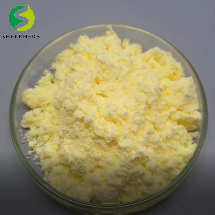 Manufacturer Supply Antioxidant Thioctic Acid Alpha Lipoic Powder OEM