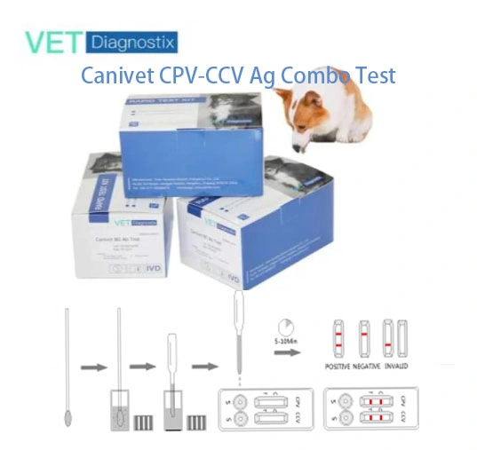 Teste combinado do antigénio do vírus CCV da canina Parvo-Corona