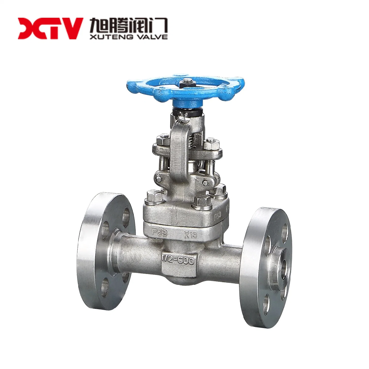 Xtv ANSI Carbon Steel Wedge Type Double Gate Valve