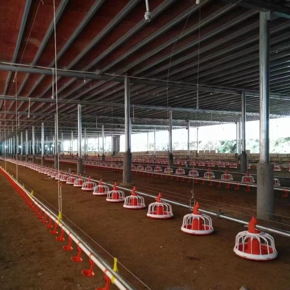 Fully Automatic Poultry Feeding Equipment for Livestock Farms