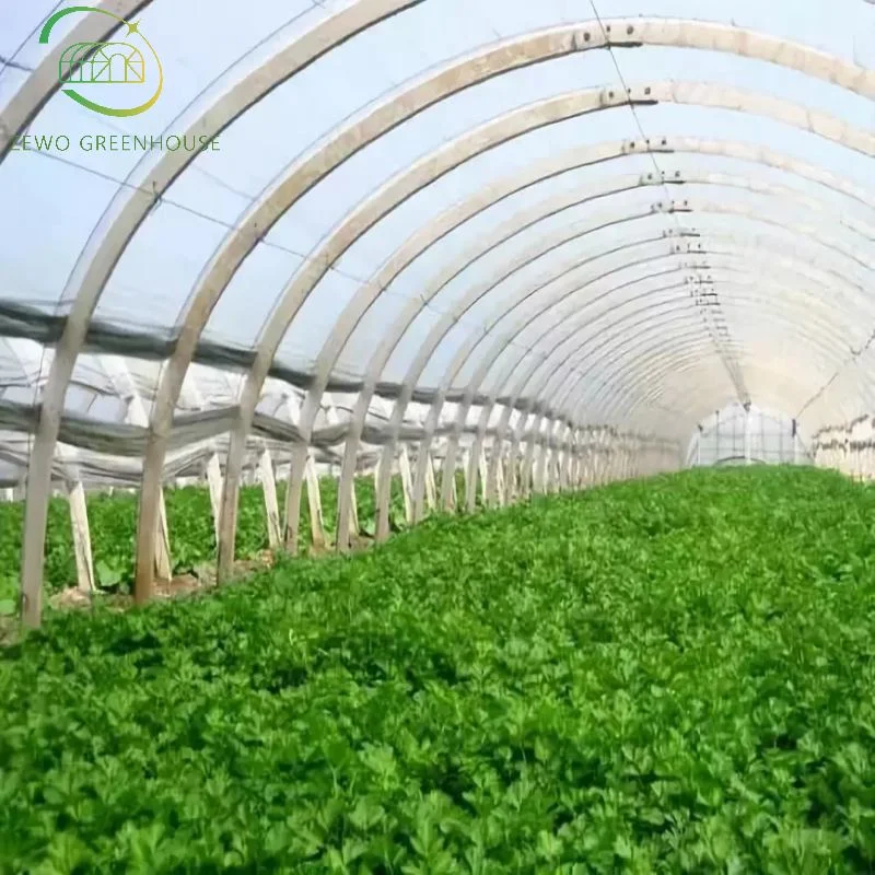 China Gemüse Wachsenden Hoop House Single Span Landwirtschaftliche Gewächshaus Tunneling Zum Hot Sale