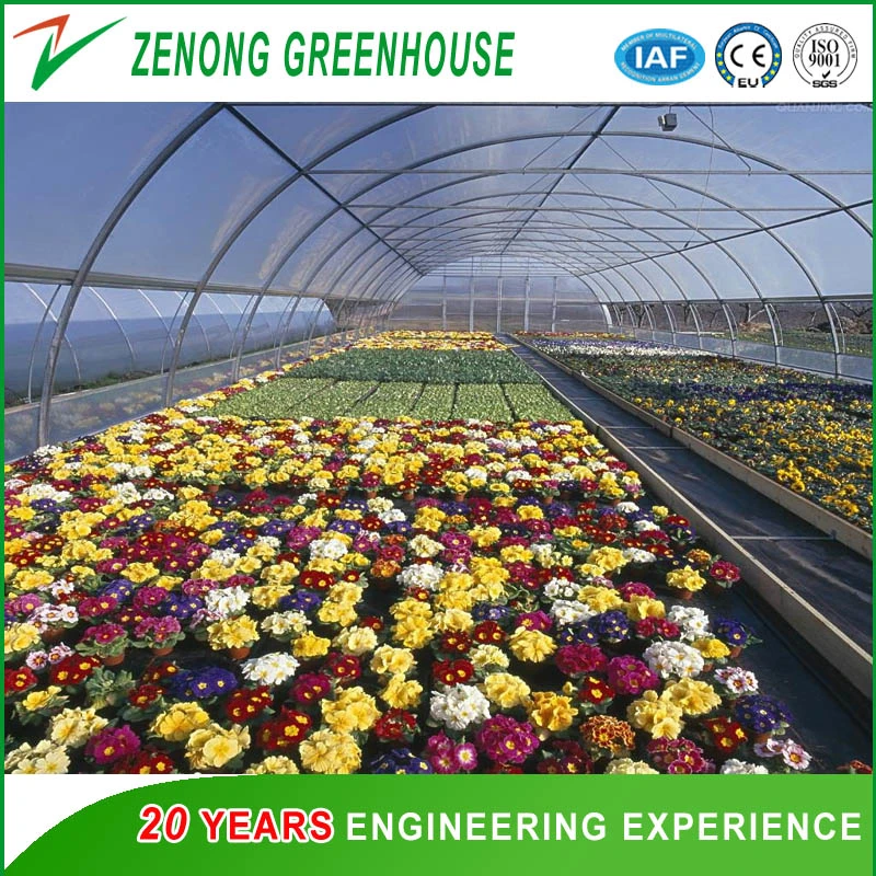 Garden Used Film Covered Tents Greenhouse for Seed Nursery/Planting Vegetables/Flowers