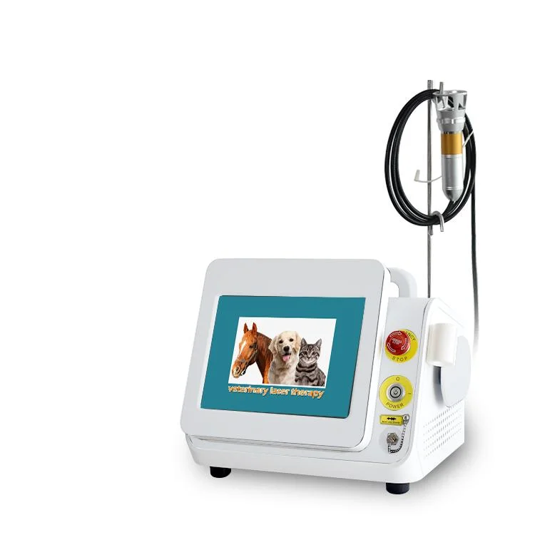 Venda a quente Fisioterapia Equipamentos 980nm Pet Animal cuidados veterinários a máquina a Laser