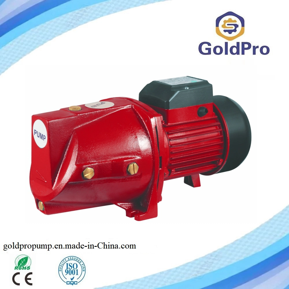 Hot Popular 1HP Jsw/10m 160V-240V High Pressure Self-Priming Jet Water Pump for Garden Irrigation