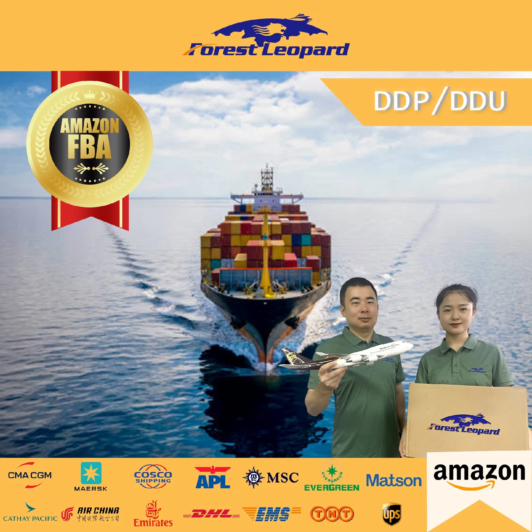 Sea Freight Forwarder From China to USA UK Australia United Kingdom Europe America DDP Fba Amazon Shipping Forestleopard