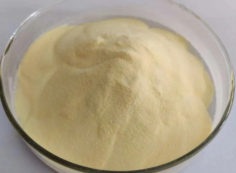 Soy Lecithin Powder Food Additive for Bakery Foods ISO