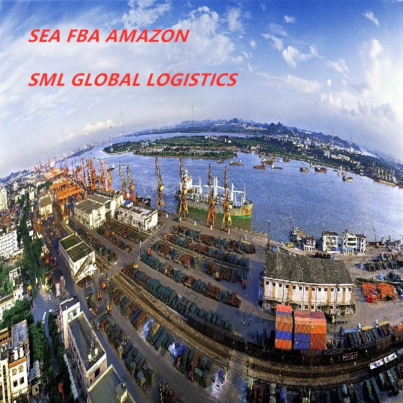 Cheap Express/Air Freight From China to Savannah/Toronto/Montreal/Miami/New York DDP Sea Freight Forwarder Logistics Shipping