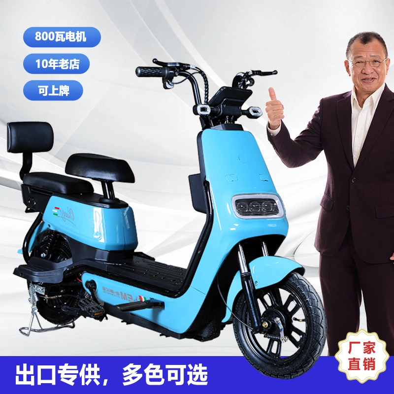 Adult Electric Scooters Portable Bicycle Fat Bike Dirt Ebike E Bike