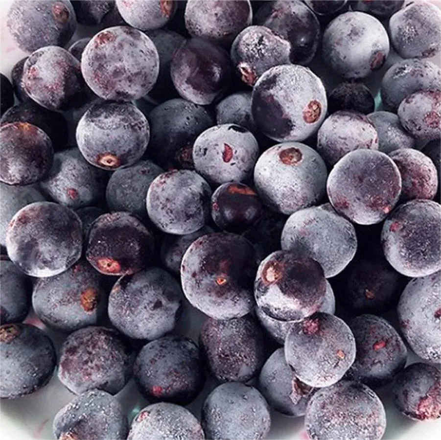 IQF Blackcurrants, Frozen Black Currants