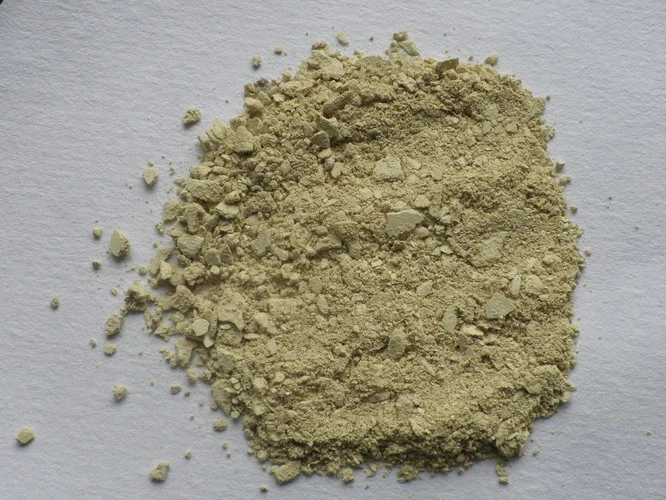 Fabricante fornecer extracto Kaempferia Kaempferol Powder Capsule