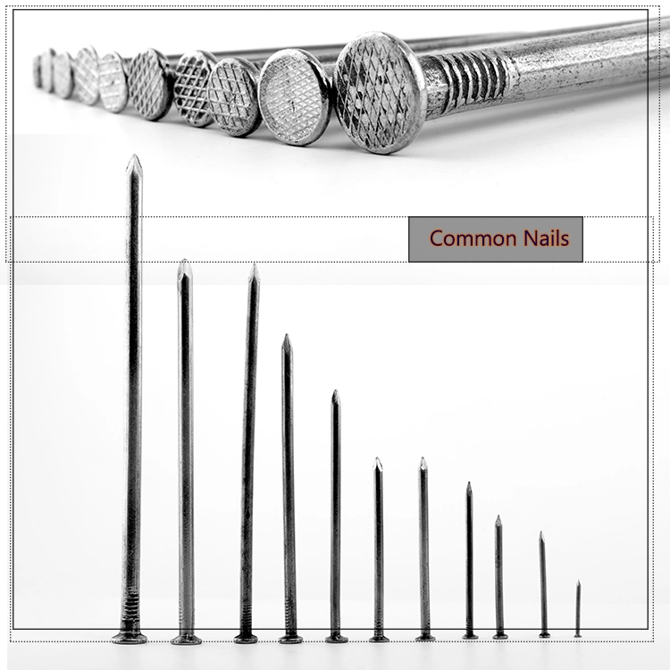 New Design Wire Nail Manufacture in India Common Nail Type and Iron Material Nails with High quality/High cost performance 