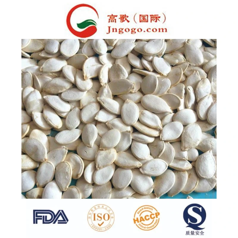 Top Quality Shine Skin White Pumpkin Seeds Grade A