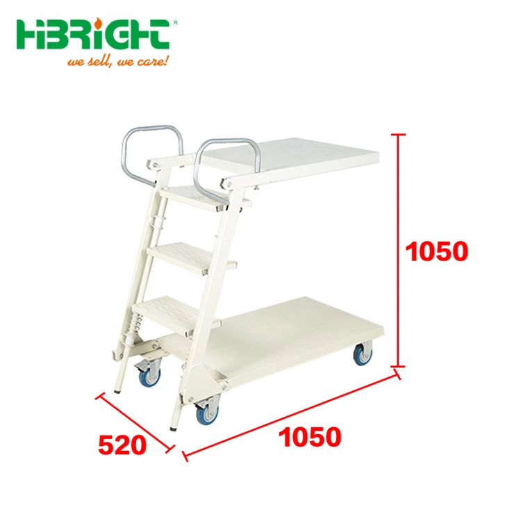 Easy Movable Steel Picking Rolling Metal Ladder with Platform