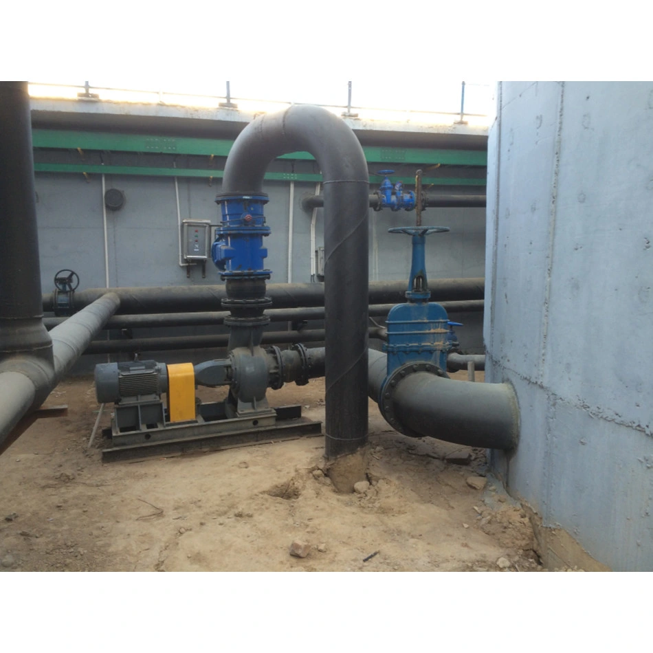 6p11kw 11dry Pit Non-Clog Sludge and Sewage Pump Single Stage Excess Sludge Return Pump Centrifugal Type