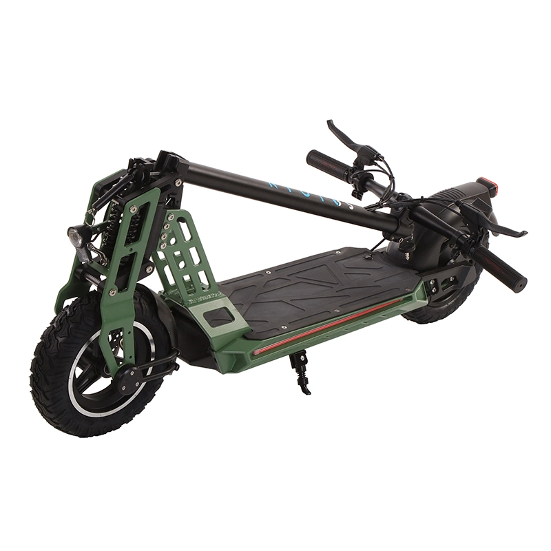 48V 500W Elektro-Fahrrad-Roller mit Lithium-Batterie