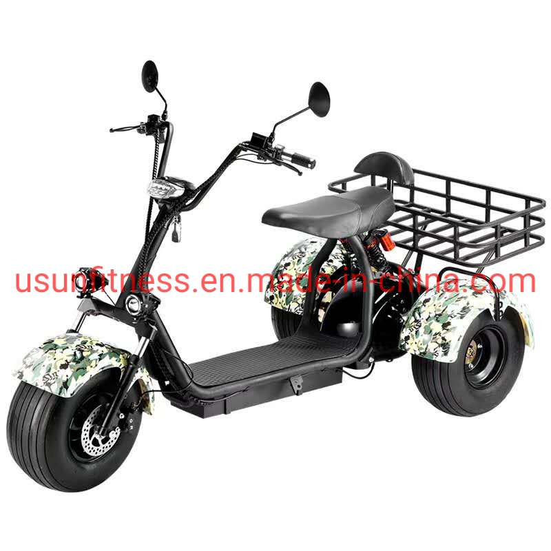 Special Vehicles for Farms and Gardens 3 Wheels Electric Scooter and Scooters Electric Motorcycle Tricycle Cargo