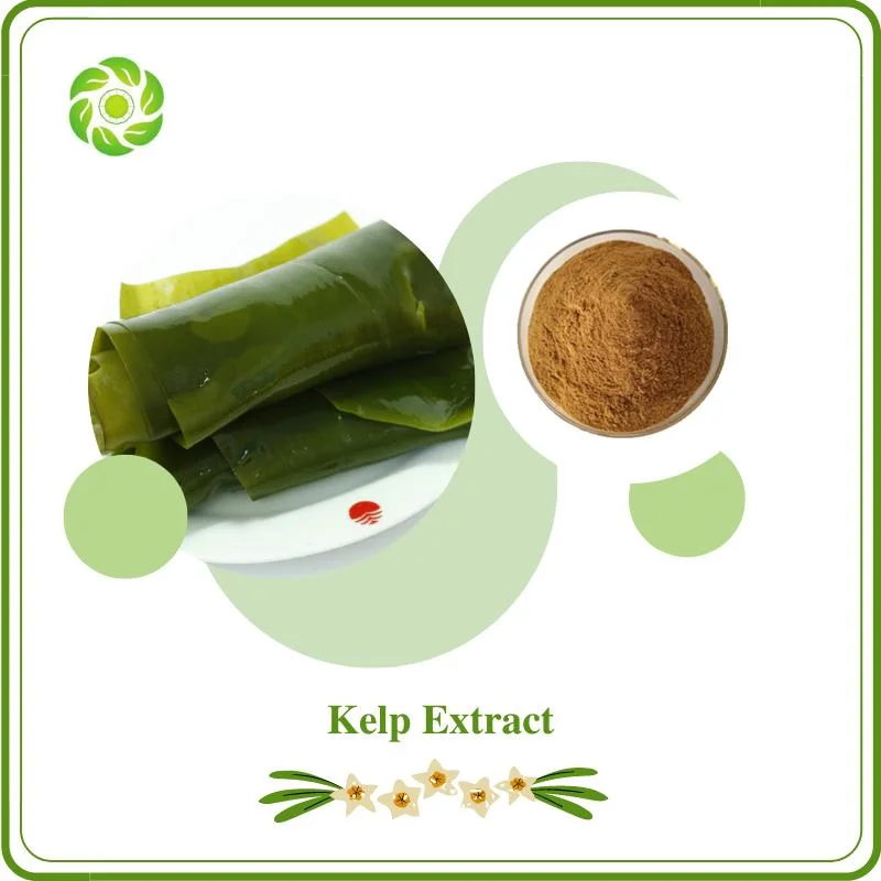 Factory Dirtect Supply Free Sample 10%-40% UV Fucoxanthin 10% UV Kelp Polysaccharides Nutraceuticals Immunity Boost Kelp Extract