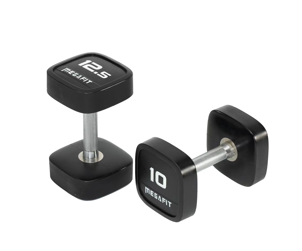 Hot Selling CPU Dumbbell Round Head Wholesale/Supplier Dumbbells